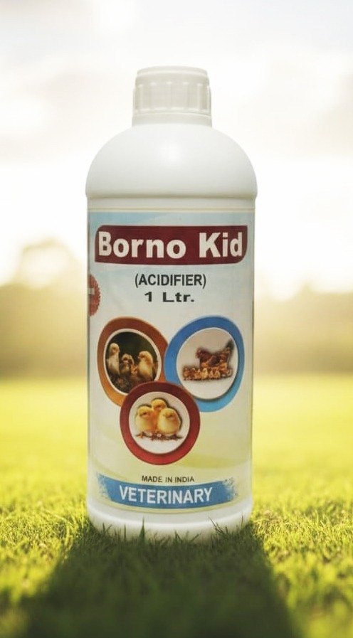 Borno KID 1litt