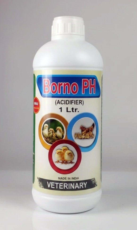 B-Borno PH 1litt